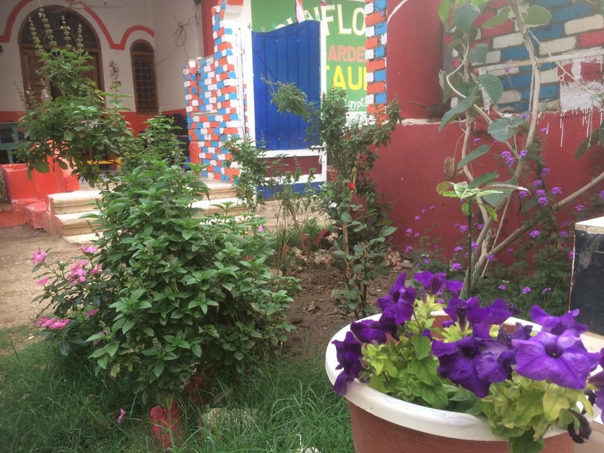 Sunflower Guest House Luxor West Bank المظهر الخارجي الصورة